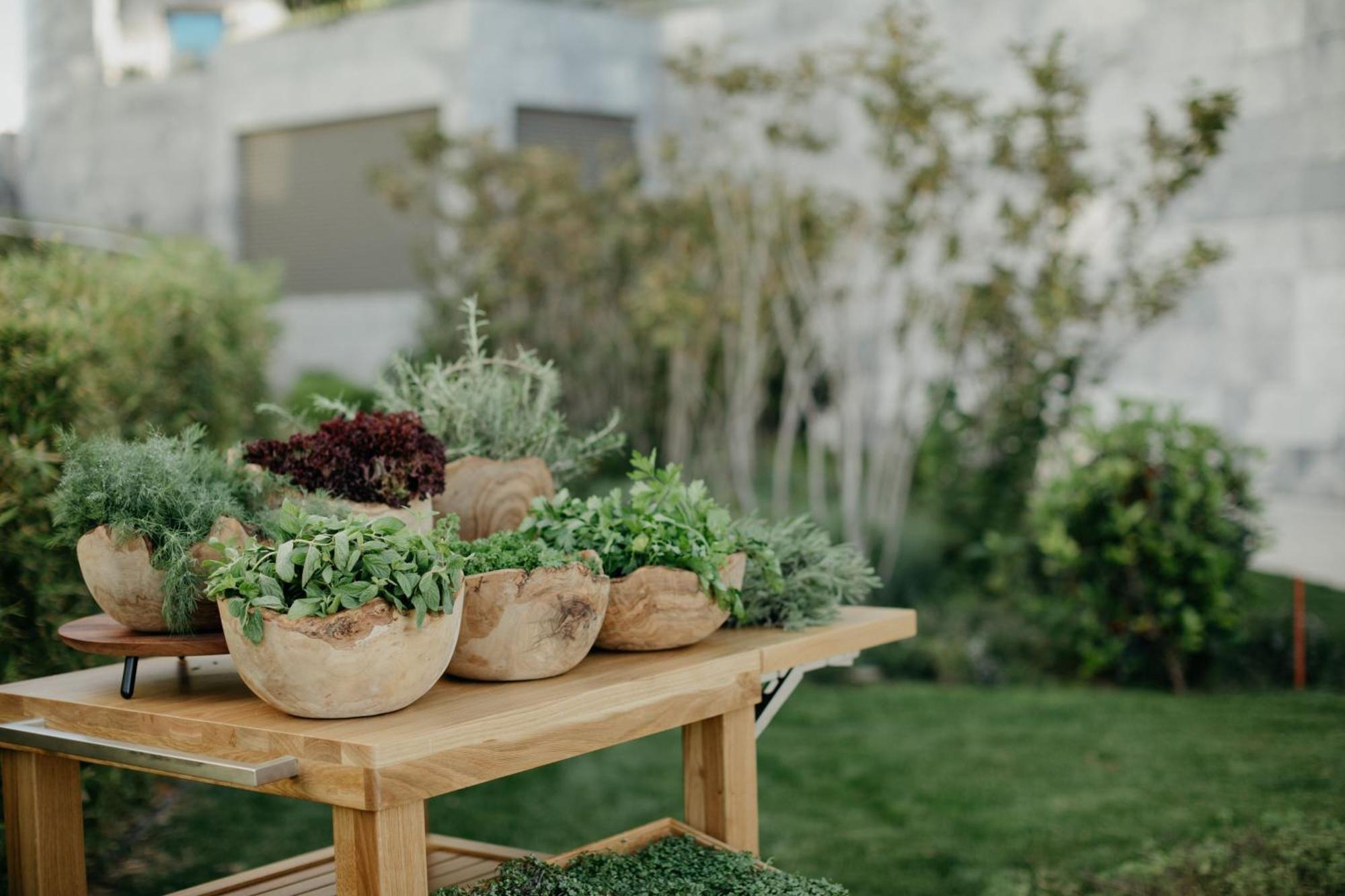 Jw Marriott Hotel Istanbul Marmara Sea Exterior foto A small herb garden
